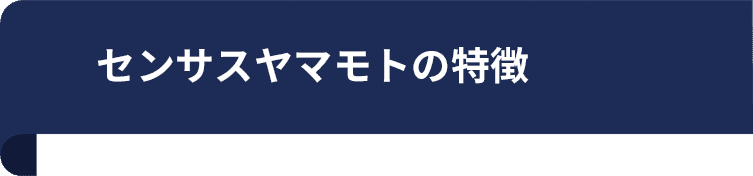 センサスヤマモトの特徴